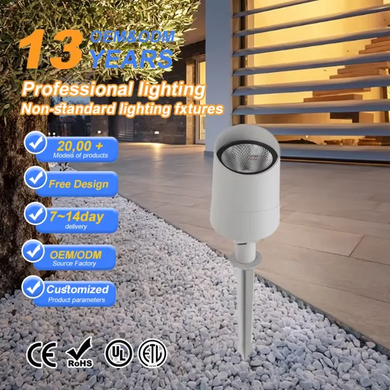 Outdoor Lighting Spotlight - Самый популярный уличный светодиодный прожектор COB