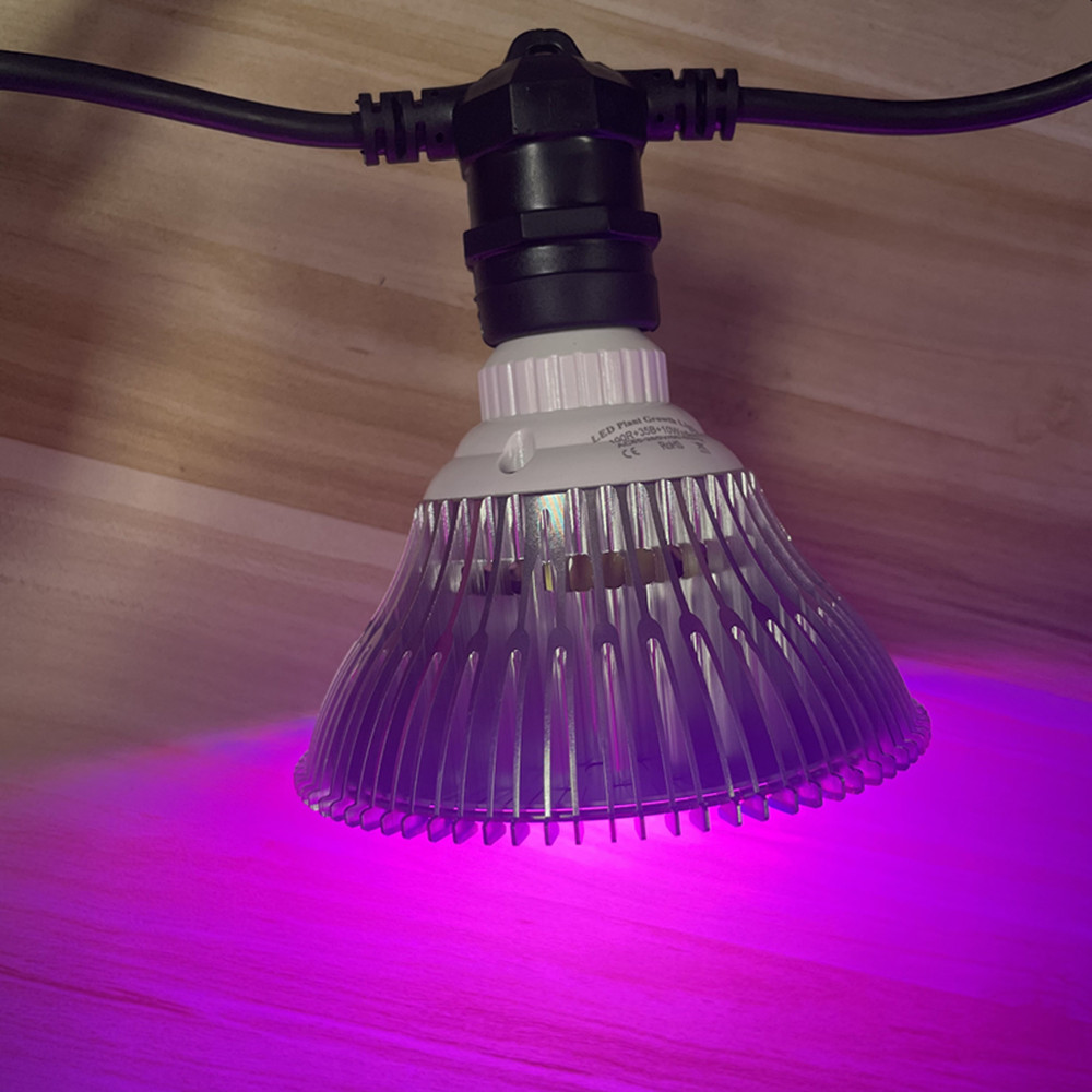 Светодиодная гирлянда 10 м, ко – обзор и цена Outdoor Lighting In Ground